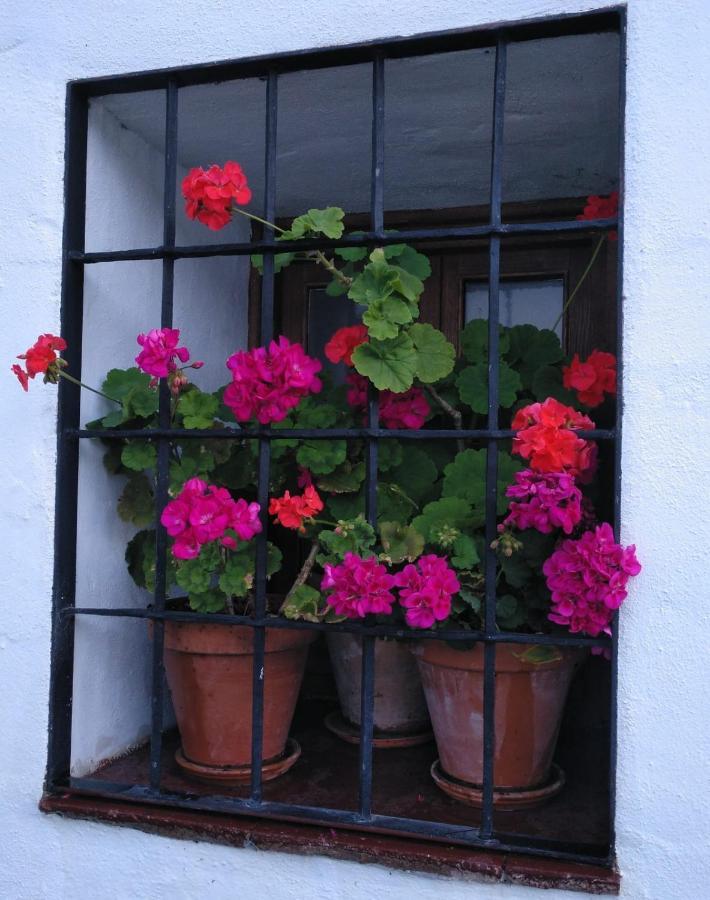 Casa Rural En Grazalema Exteriör bild